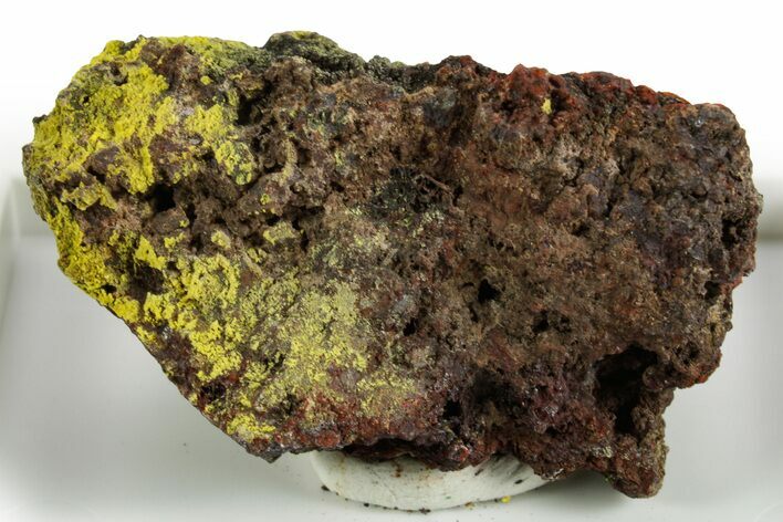 Rare Bright Yellow Humboldtine on Matrix - Montana #380519